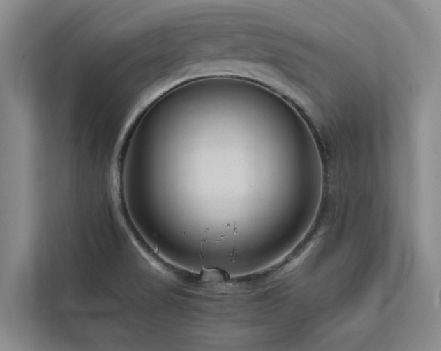 X0000112731517200908201315