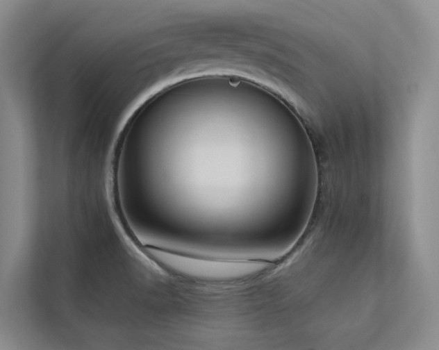 X0000112731518200908201315