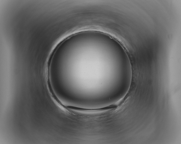 X0000112731519200908201315