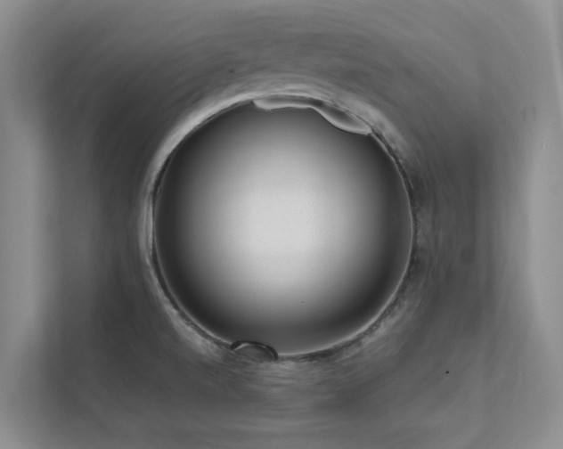 X0000112731520200908201315