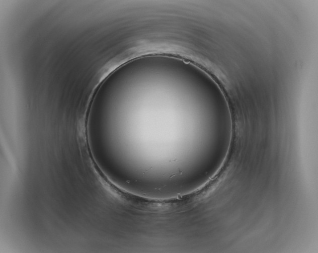 X0000112731521200908201315