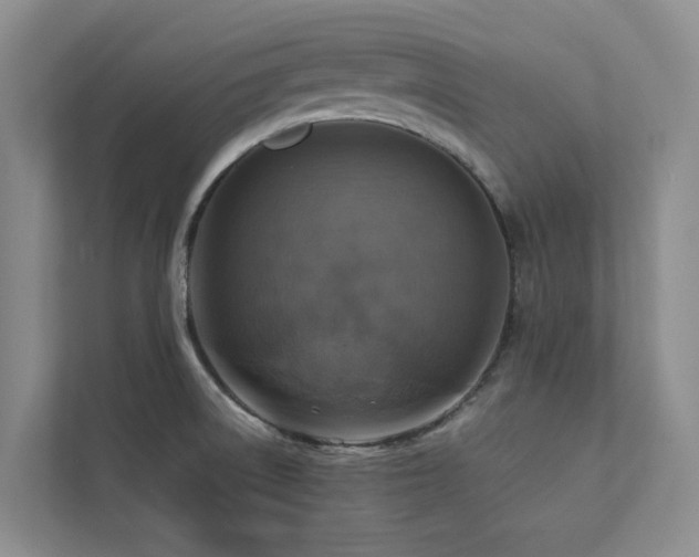 X0000112731522200908201315