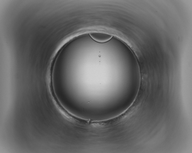 X0000112731523200908201315