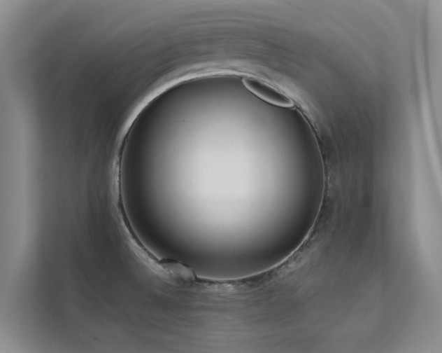 X0000112731524200908201315