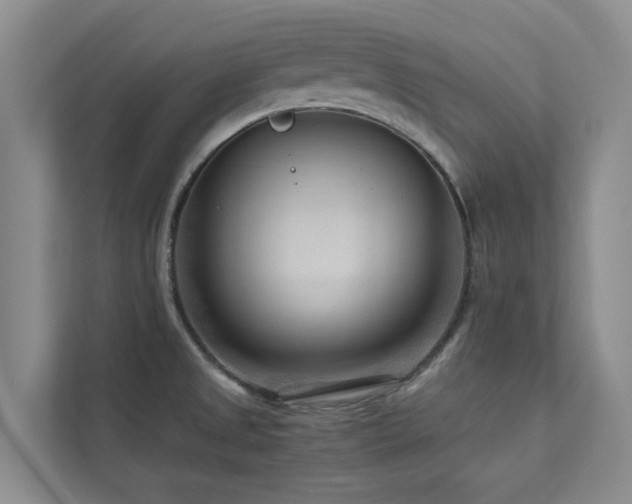 X0000112731525200908201315