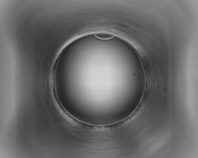 X0000112731526200908201315