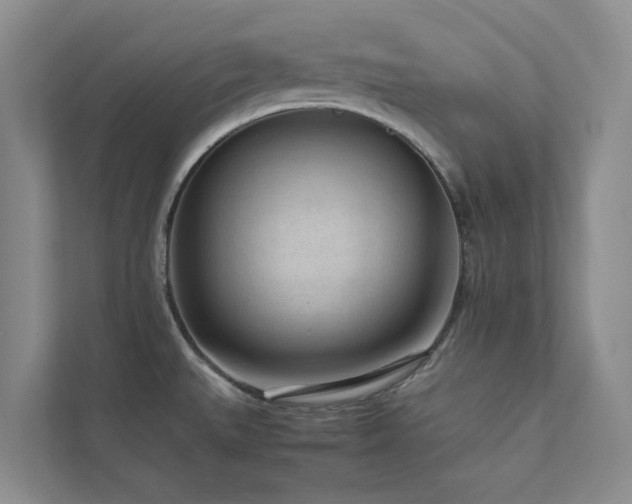 X0000112731527200908201315