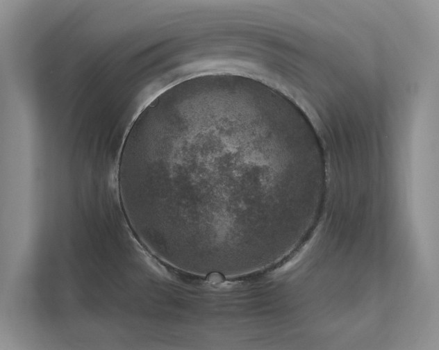 X0000112731529200908201315