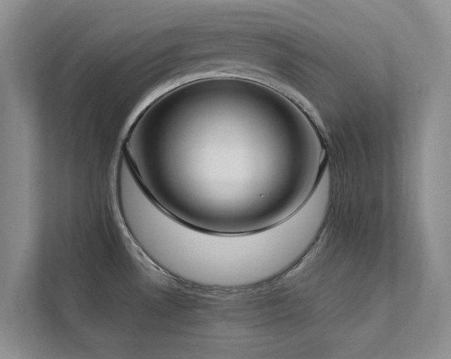 X0000112731530200908201315