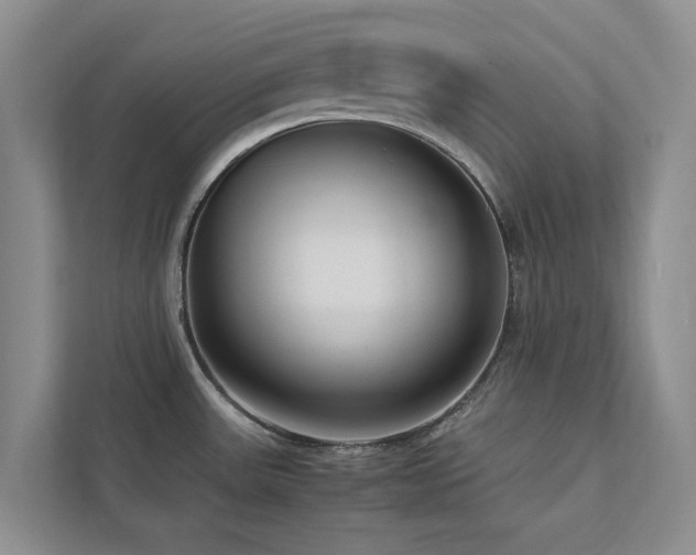 X0000112731531200908201316