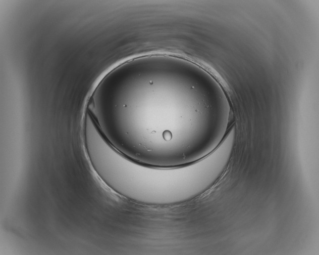 X0000112731532200908201316