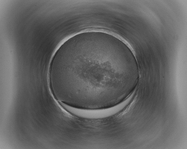 X0000112731533200908201316