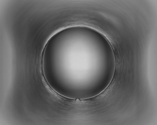 X0000112731534200908201316