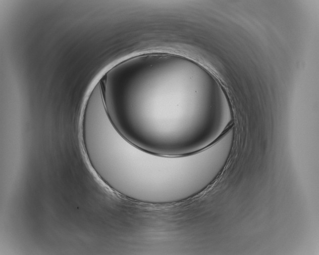 X0000112731536200908201316