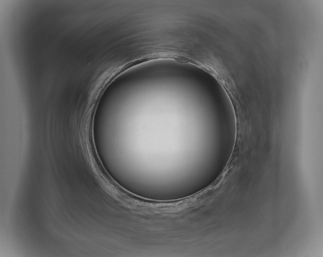 X0000112730001200908271437