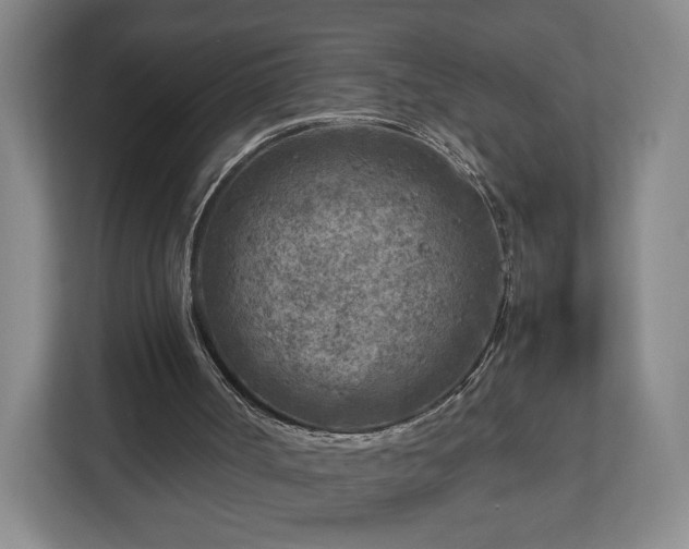 X0000112730002200908271437