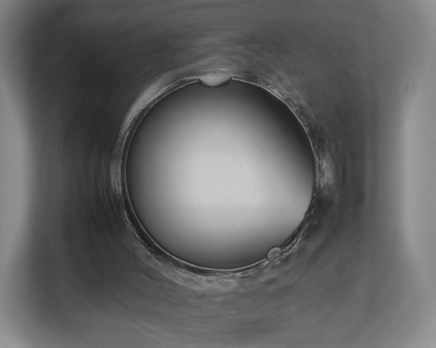 X0000112730004200908271437