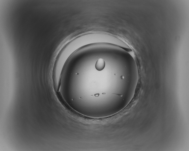 X0000112730007200908271437