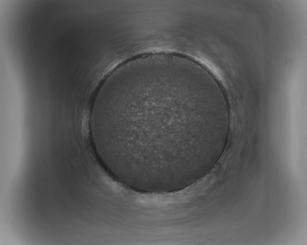 X0000112730009200908271437