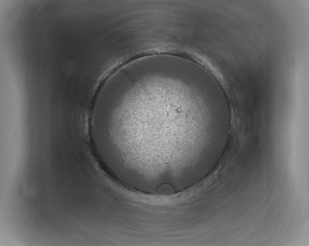 X0000112730010200908271437