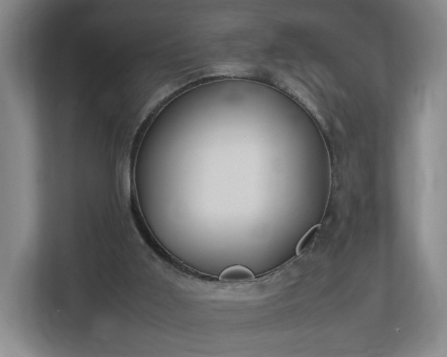 X0000112730011200908271437