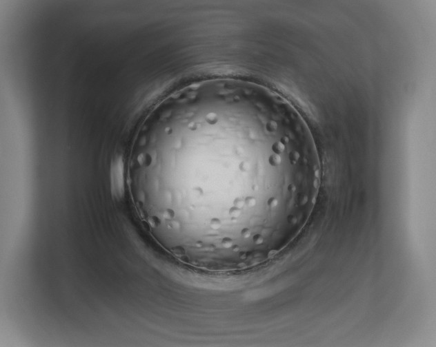 X0000112730014200908271437