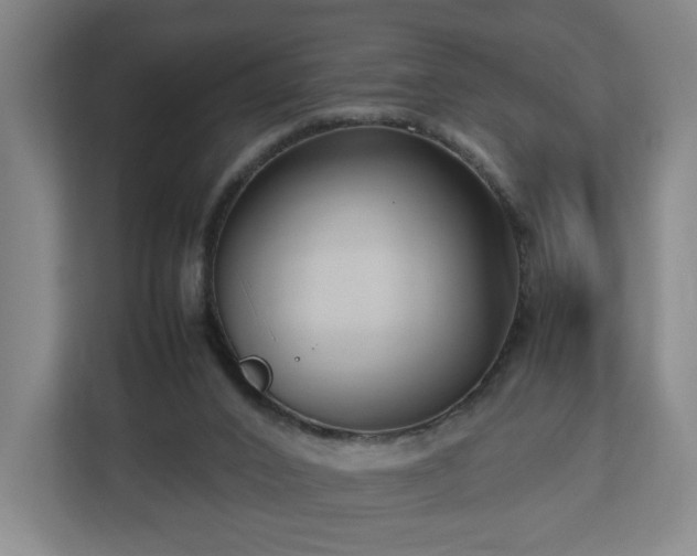 X0000112730016200908271437