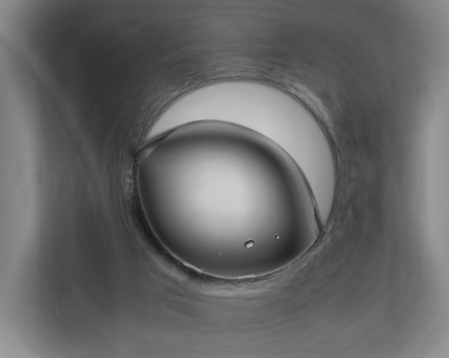 X0000112730017200908271437