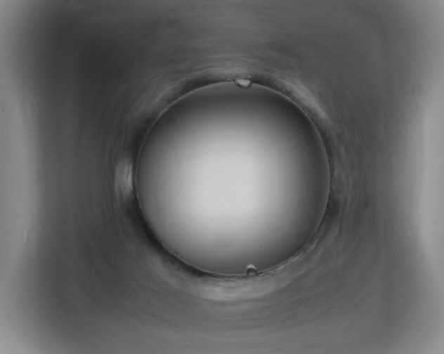 X0000112730021200908271437