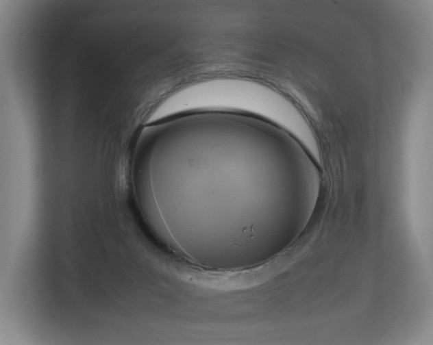 X0000112730023200908271437