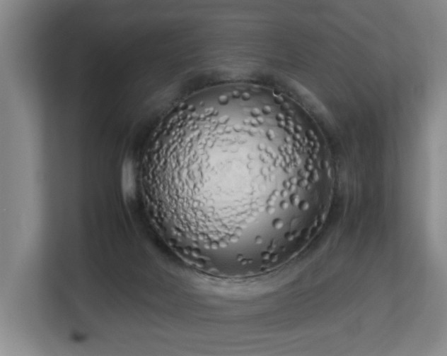 X0000112730026200908271437