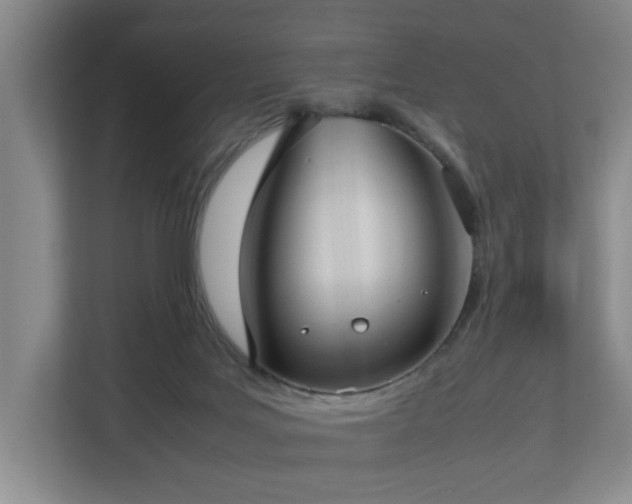 X0000112730027200908271437