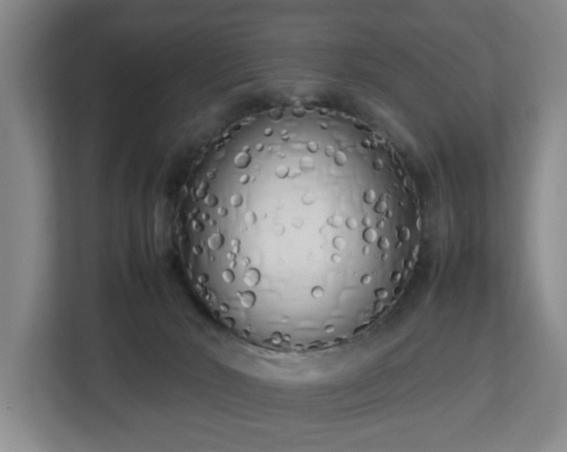 X0000112730030200908271437