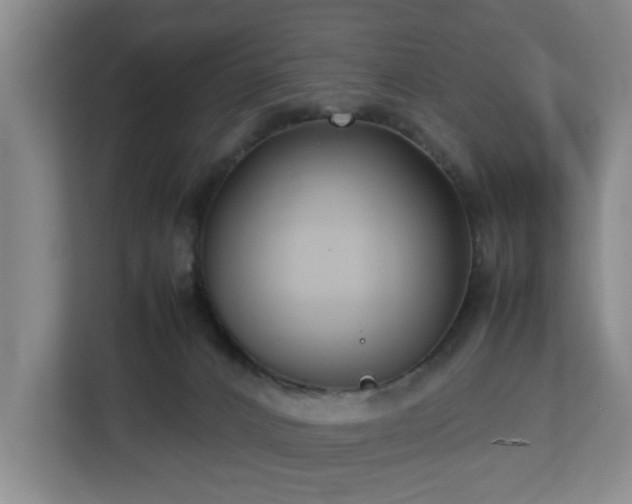 X0000112730032200908271437