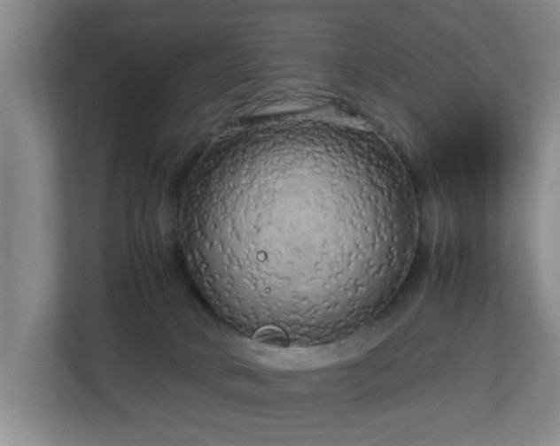 X0000112730034200908271437