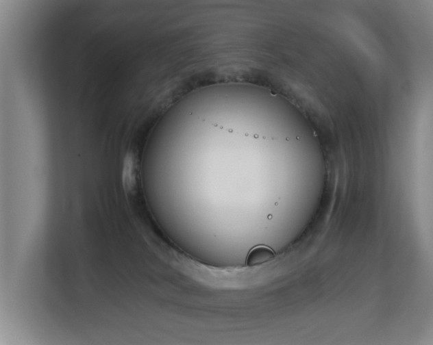 X0000112730038200908271437