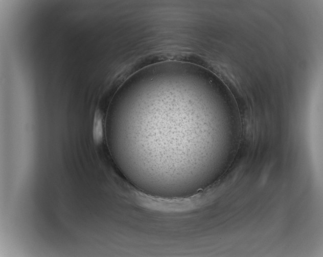 X0000112730042200908271437