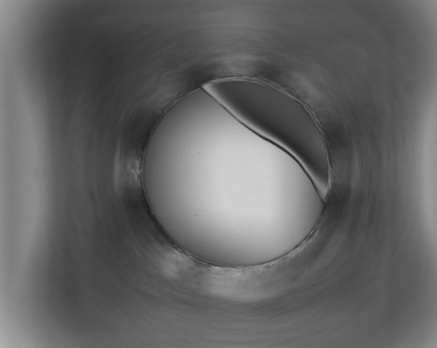 X0000112730045200908271437