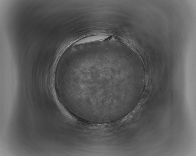 X0000112730049200908271436