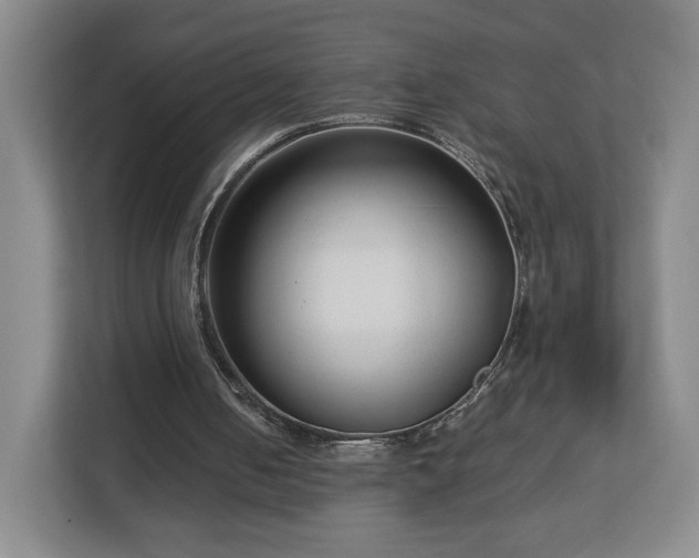 X0000112730050200908271436