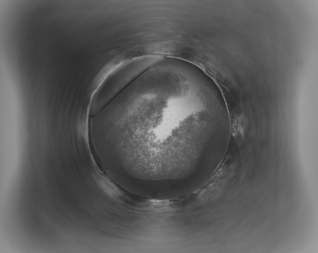 X0000112730052200908271436