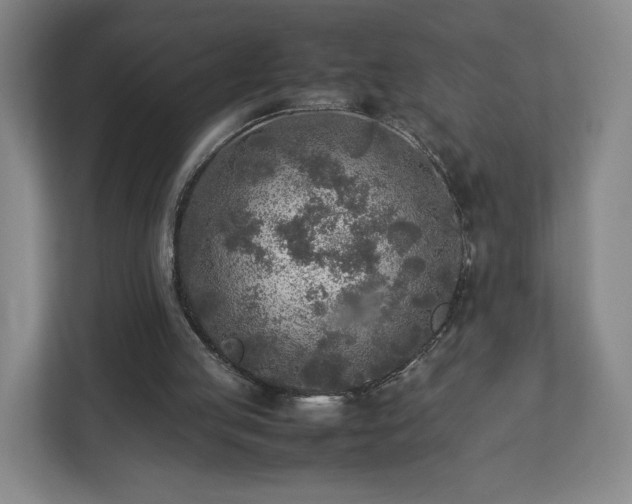 X0000112730053200908271436