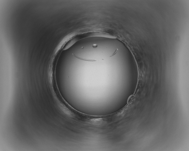 X0000112730054200908271436