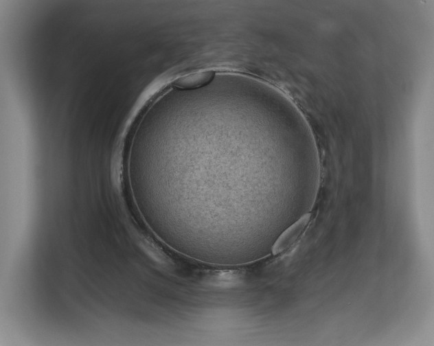 X0000112730056200908271436