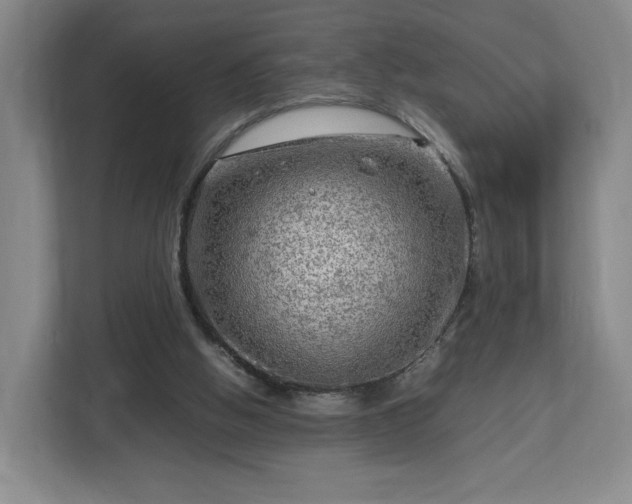 X0000112730058200908271436