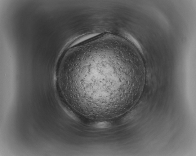 X0000112730059200908271436