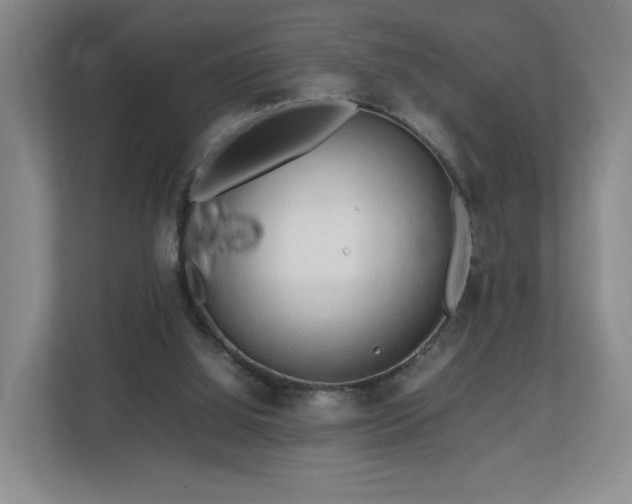 X0000112730060200908271436