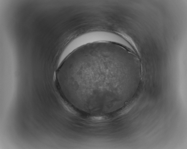 X0000112730061200908271436