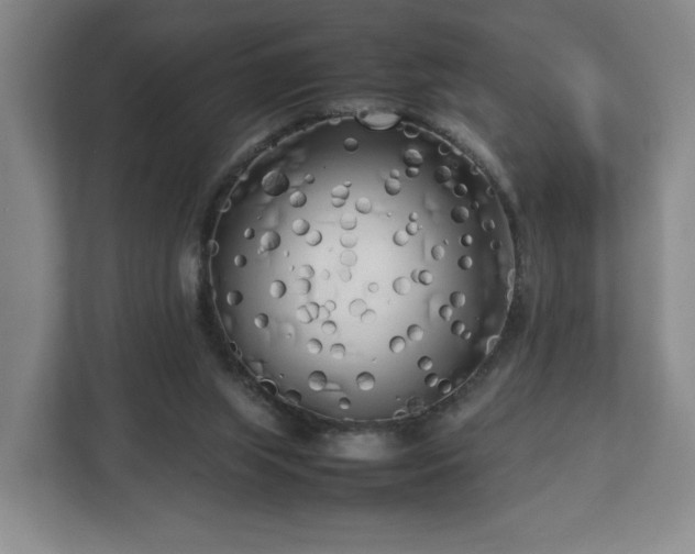 X0000112730063200908271436