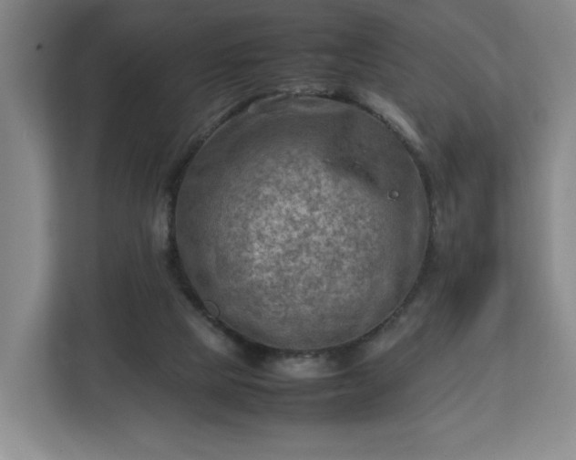 X0000112730065200908271436